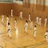 images/karate/Training mit Julian Chees/traing_mit_julian_chees_11_20161022_1874103104.jpg